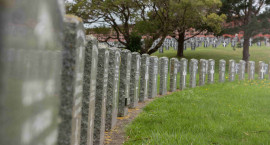 Service headstones in a cemetery