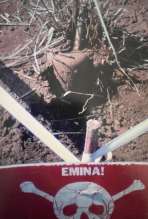 A metal land mine half burried in the ground. A warning sign with skull and crossbones is in the foreground. 